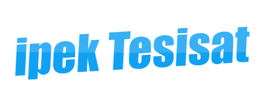 Bursa Petek Temizliği
